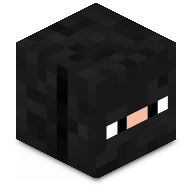 Anonymous_Craft8