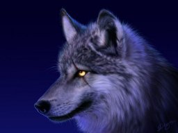 wolfear_Kiba