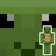 Bugmo1207